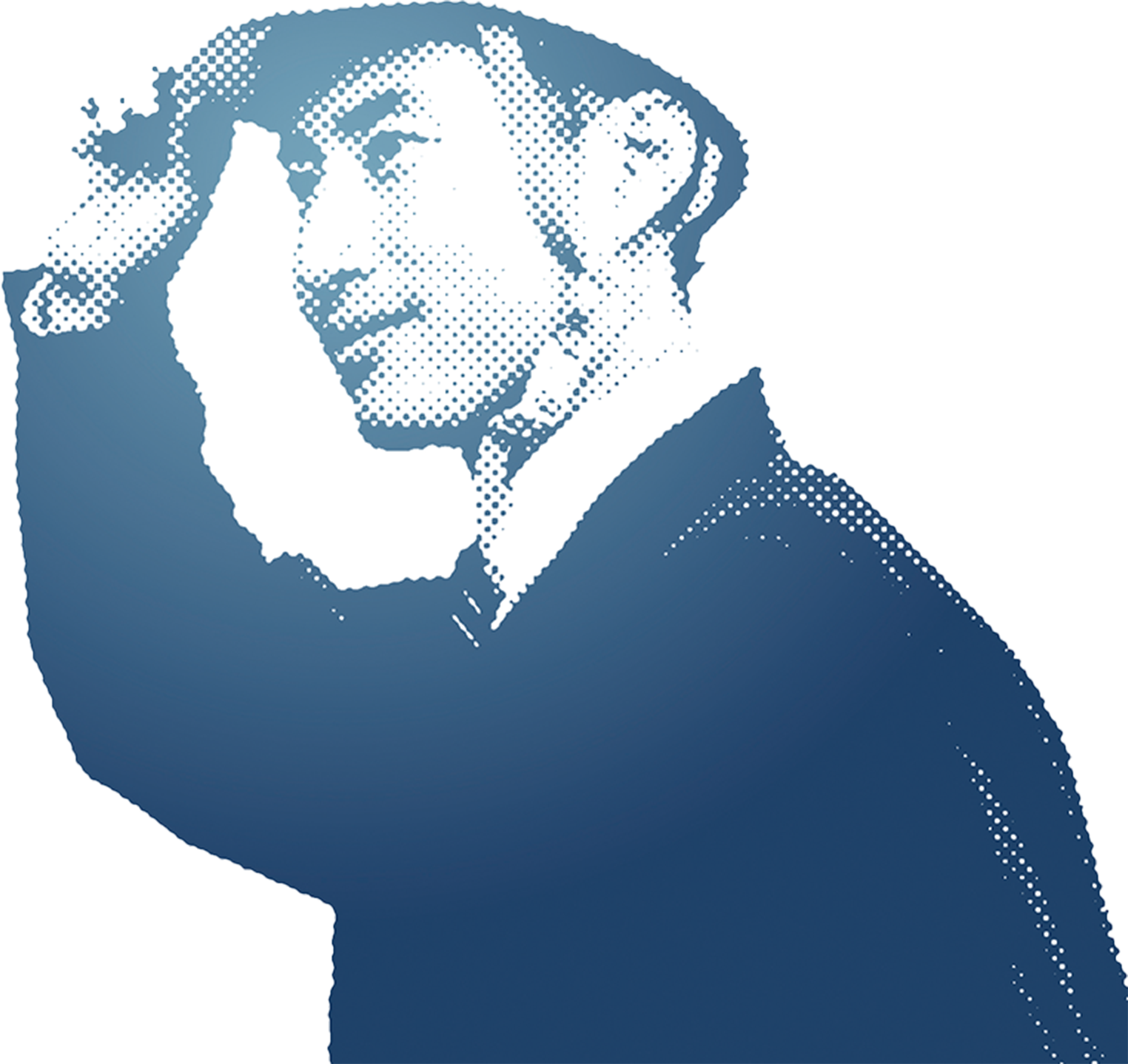 施工のご依頼はこちら